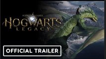 Hogwarts Legacy | PC Modding Update Announcement Trailer