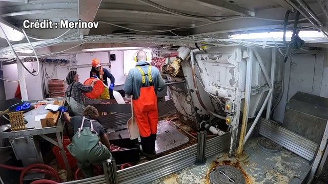 27 janv TOPO LPM peche au sebaste