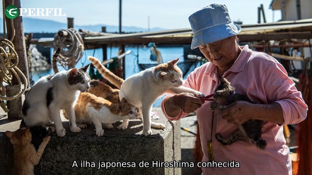 Segredos da História: Japão, Titanic e Maria Antonieta revelam mistérios intrigantes e surpreendentes