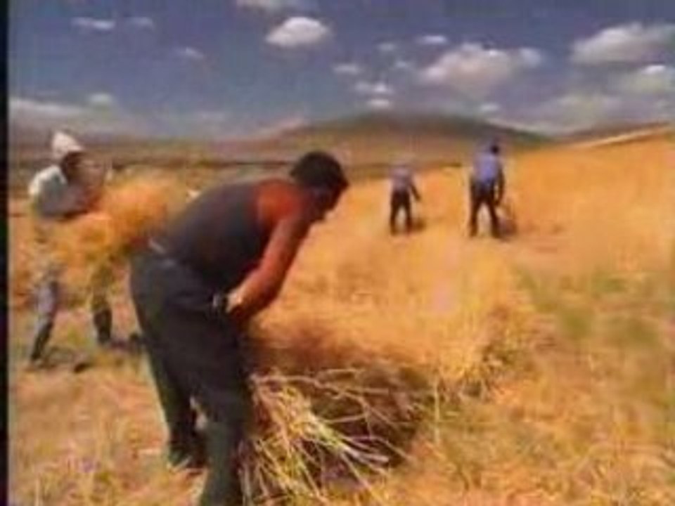 Varto/Gimgim (3.Bölüm) “Varto mala xwadêye...“