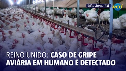 Caso de gripe aviária em humano é confirmado no Reino Unido