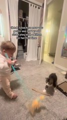 Little Girl Enjoys Playing with Cat