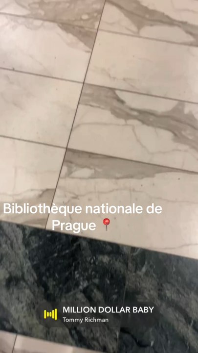 Bibliothèque nationale de Prague