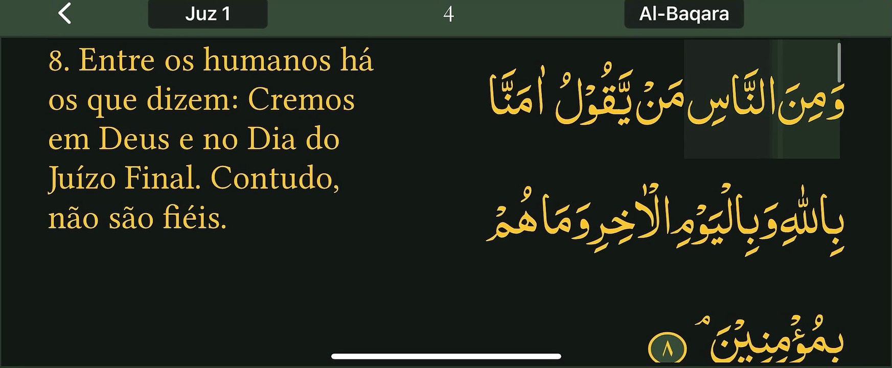 Read Qur’an everyday with naziaqaiser - Surah albakara verse  8, 9, 10, 11, 12, -