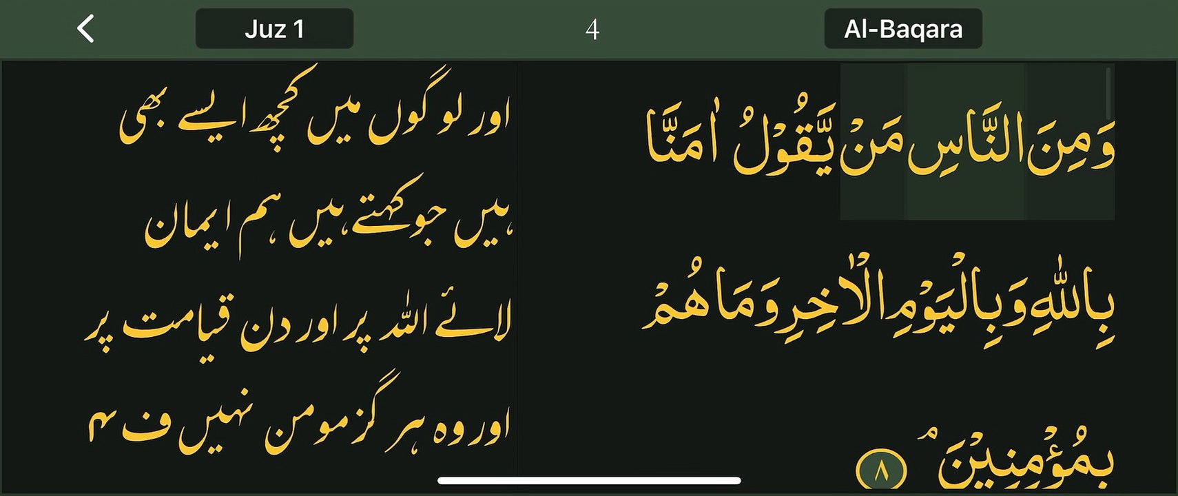 Read Qur’an everyday with naziaqaiser - Surah albakara verse  8, 9, 10, 11, 12, -