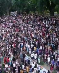 Convocatoria para organizar la Marcha Federal del Orgullo Antifascista