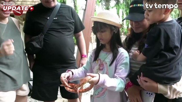 Liburan dengan Edukasi Wisata di Wahana Baru Taman Safari Puncak Bogor
