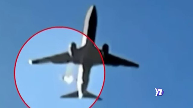 7dias-Cuando aves y aviones se cruzan-270125