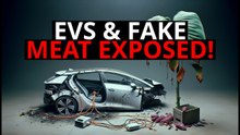 From Virtue Signaling to Unwanted Products: How EVs and Fake Meat Fail the Average Consumer