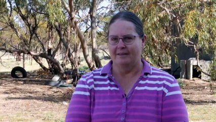 Desperate calls to prevent yellow-tailed black cockatoos disappearing from Eyre Peninsula