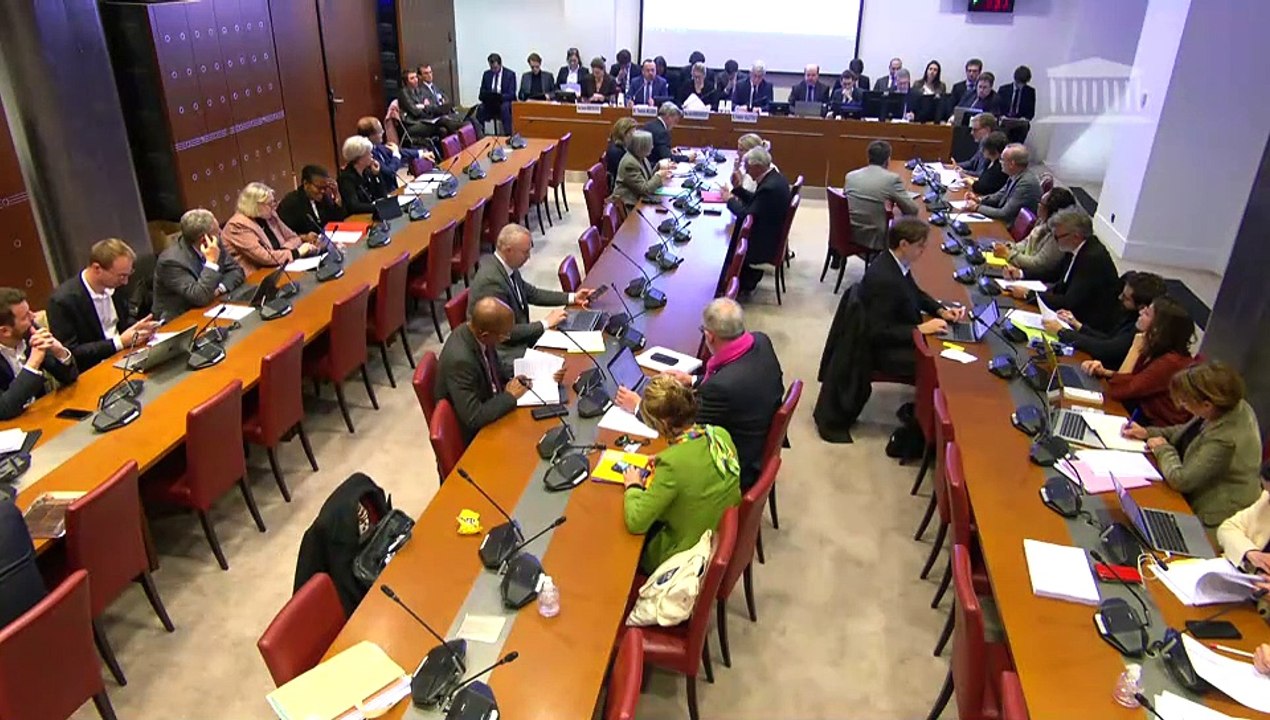 Commission des affaires sociales : Mme Astrid P...