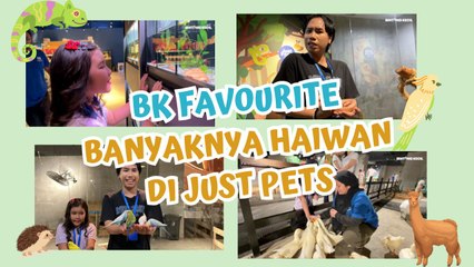 Jumpa Kawan Baru di Just pets Megastore | BK Favorite| BINTANG KECIL