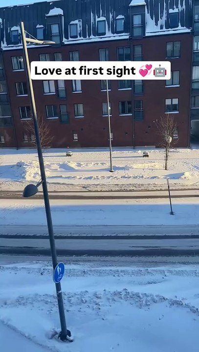 Robots fall in love at first sight.#robots #technology #romance