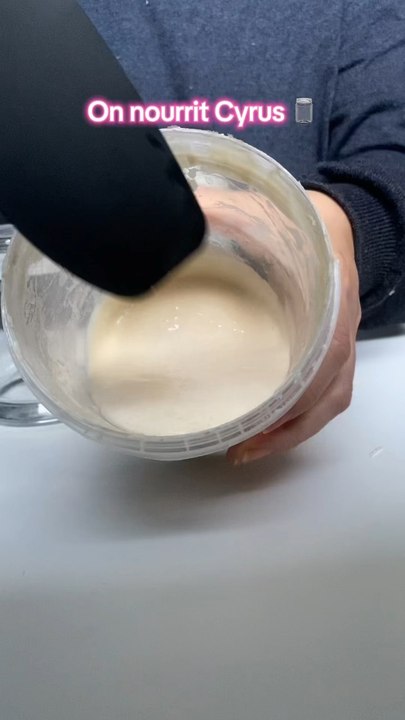 On nourrit mon levain #levain #sourdough #sourdoughstarter