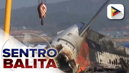 Bakas ng mga ibon, nakita sa makina ng bumagsak na eroplano sa South Korea