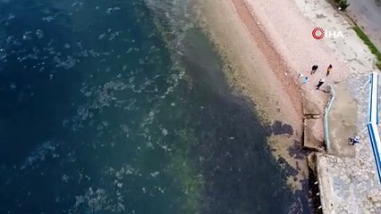 Adalar’daki müsilaj tehdidi havadan görüntülendi