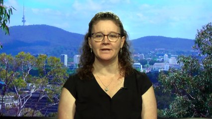 Data shows 2024 was the deadliest year on the roads since 2012