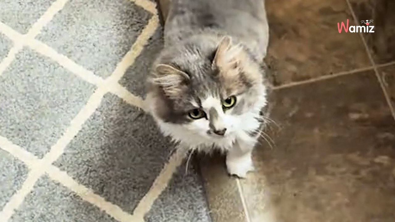 Il se demande pourquoi ses cheveux semblent bizarres après la douche et se rend compte de son erreur