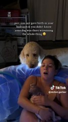 Una mujer vuelve a ver el vídeo de su parto en casa y se encuentra algo totalmente inesperado