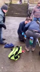 Seal Rescue - Scarborough North Bay