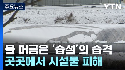 물 머금은 '습설'의 습격...시설물 피해도 잇따라 / YTN