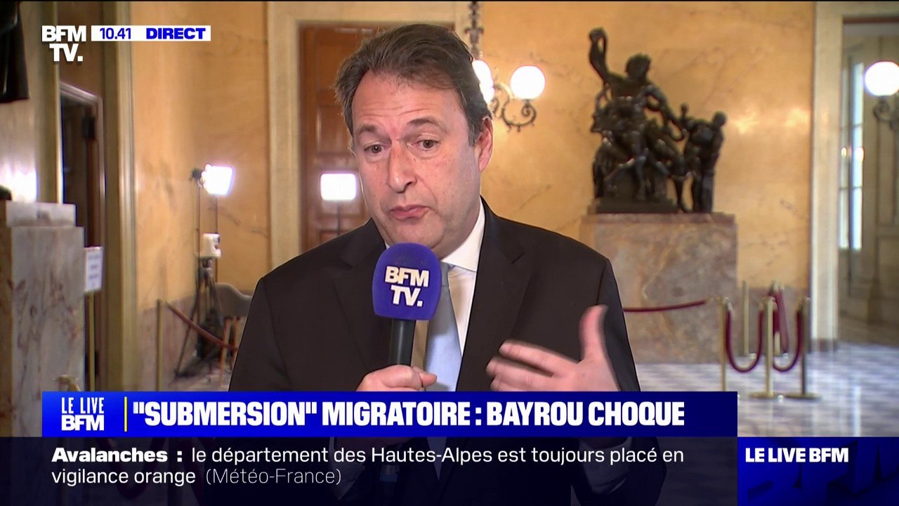 "Submersion" migratoire: "Les propos de François Bayrou sont des propos de bon sens", déclare Sylvain Berrios (“Horizons & Indépendants”) réagit aux propos du Premier ministre sur l'immigration