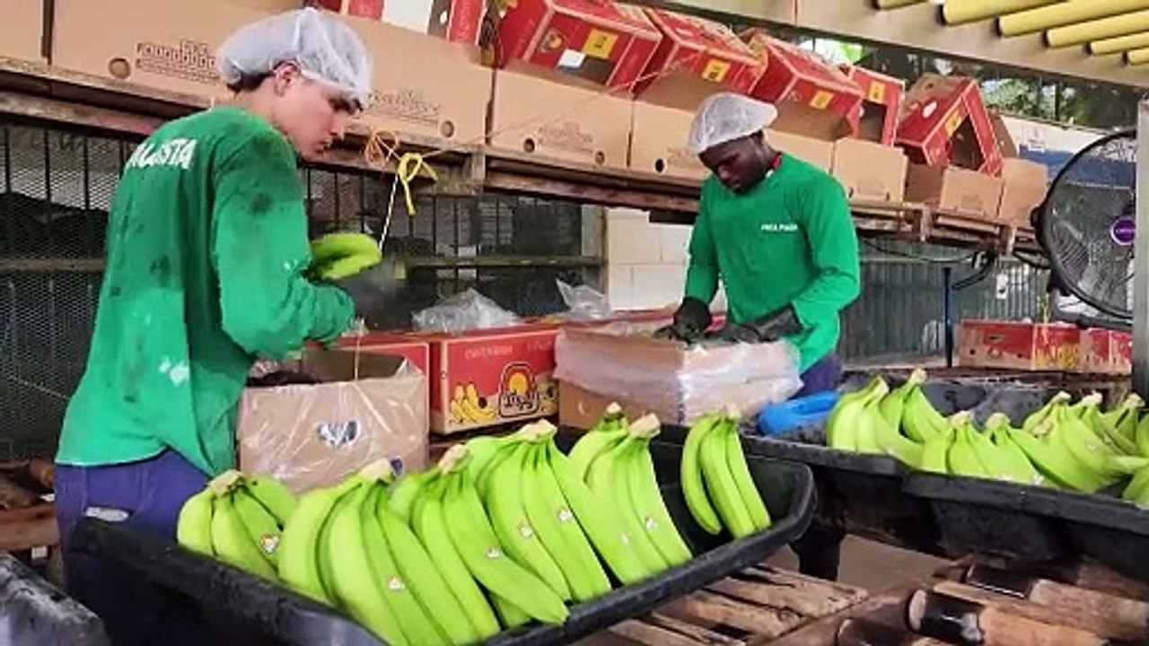 US-Migration: Kolumbien holt Bürger jetzt selbst zurück