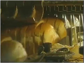 Comment c'est fait - le Pain