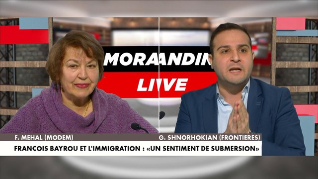 Garen Shnorhokian : «Les 500.000 immigrés qu'on fait rentrer par an détruisent et ravagent le pays»