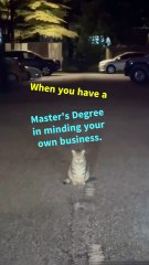 When you have a master's degree in minding your own business.