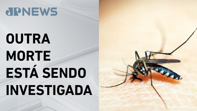 Óbitos por dengue chegam a 14 em SP e 21 no Brasil neste ano