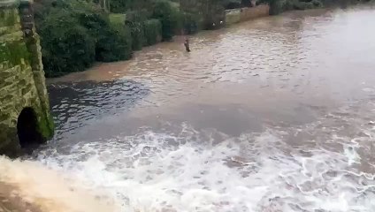 Unexplained Dark Spill Discovered in River Leam 🌊