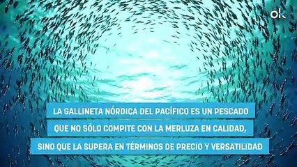 Parece merluza pero es mucho más barato: el pescado de Mercadona que recomienda un experto
