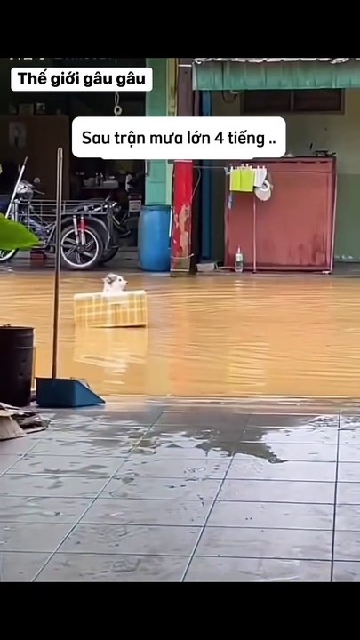 One day after the rain...