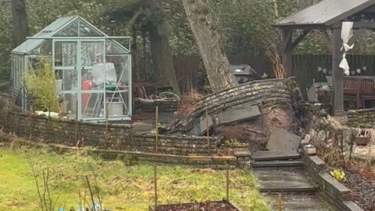 Ferocious winds of Storm Éowyn bring down a giant tree in back garden