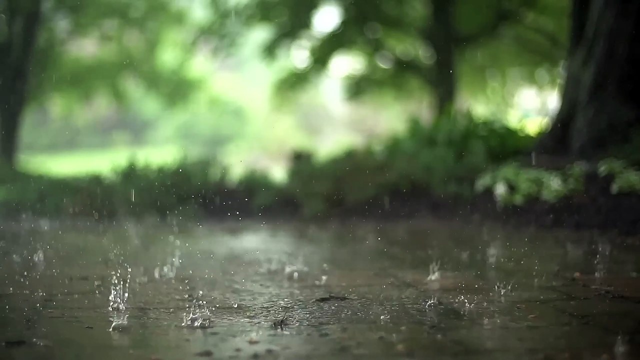 Rain Footage -  Copyright and royality free Video