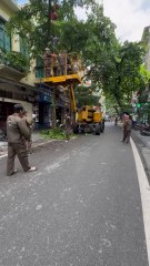 “Cutting leaves 🍁 trees in Hanoi 🇻🇳