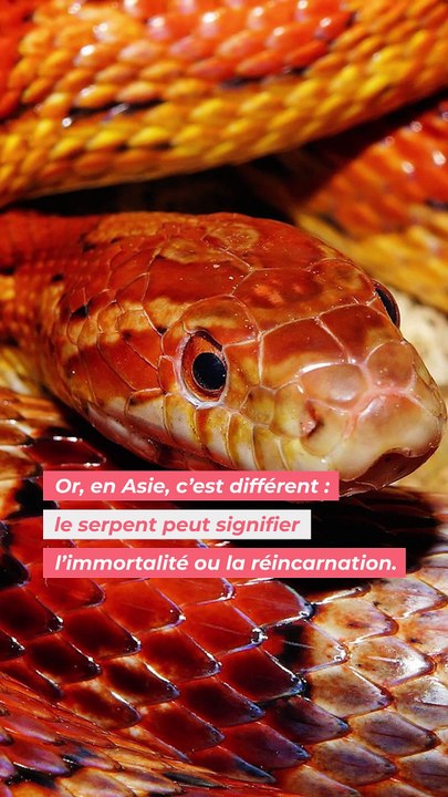 Nouvel An chinois : le Serpent de bois, roi de 2025