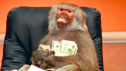 Hims & Hers Super Bowl 2025 Commercial: Challenging Healthcare Norms 🏥