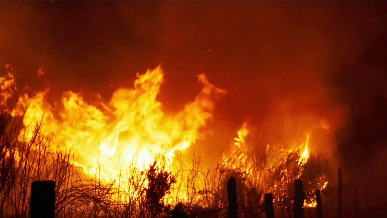 Fire Will Come - Trailer