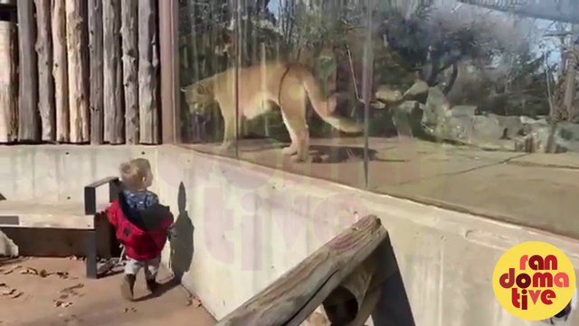 BABY AND ANIMAL | Crying Babies With Animals Moments | Funny Baby Videos | Funny Moments | Funny Kids | Funny Animals | Hilarious Videos | Funny Video Compilation | Family Entertainment |