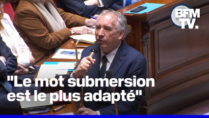 Interpellé à l'Assemblée nationale, François Bayrou maintient ses propos sur la "submersion migratoire"