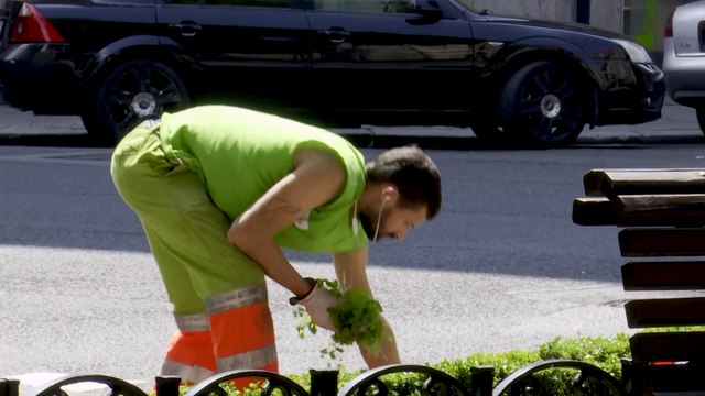 El paro cae en 265.300 personas en 2024 y el empleo marca récord de 21,8 millones