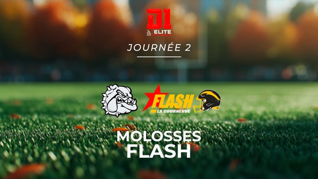 Molosses d'Asnières – Flash de La Courneuve