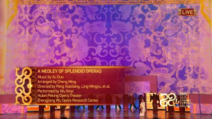 2025 Spring Festival Gala: A Medley of Splendid Operas