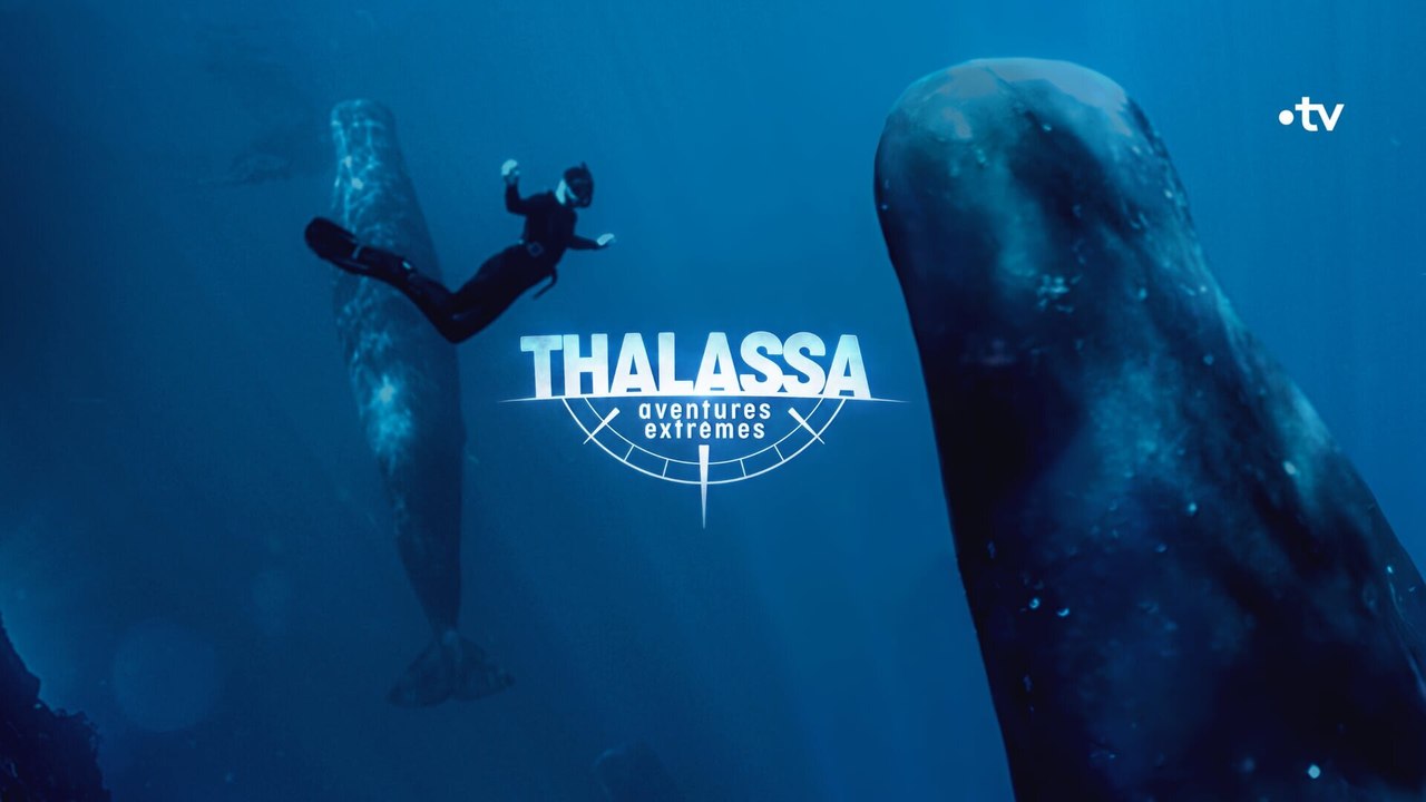 Thalassa, aventures extrêmes