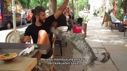 Visiting Gaza Strip as a Palestinian [Sub Indo]