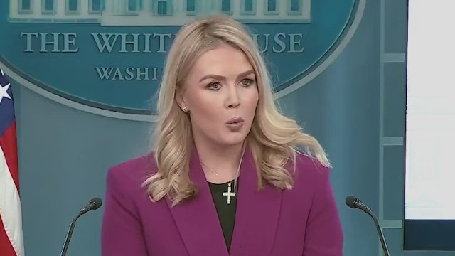 Karoline Leavitt revolutionizes media access: podcasters, bloggers, influencers enter briefing room