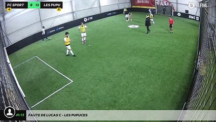 Faute de Lucas C - Les Pupuces