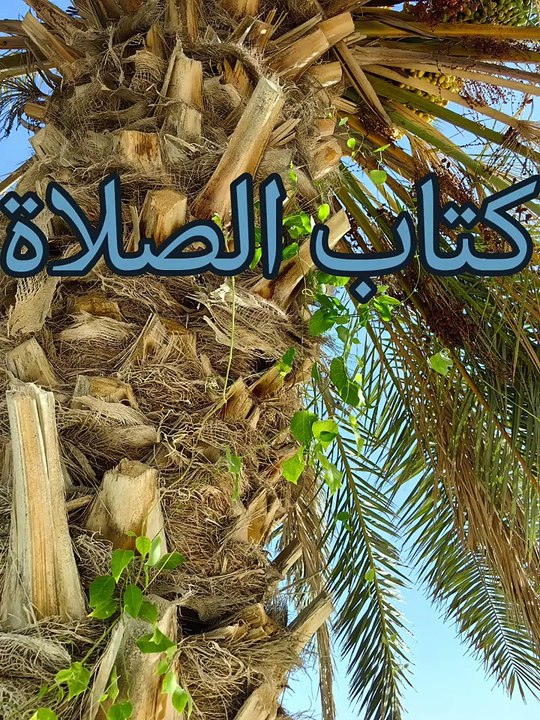 زاد المستقنع ( 5 )